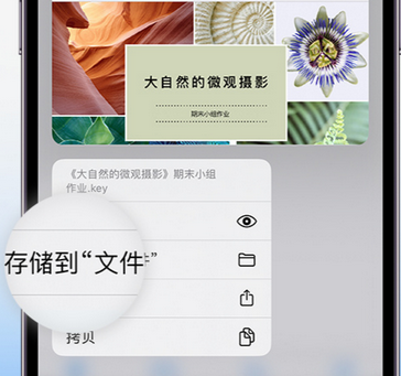 泰兴apple维修中心分享iPhone文件应用中存储和找到下载文件