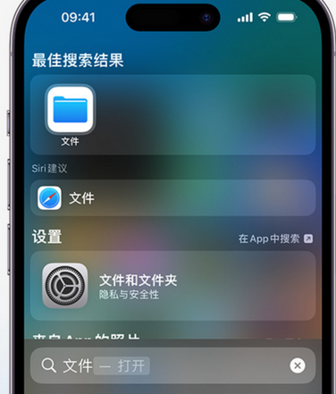 泰兴apple维修中心分享iPhone文件应用中存储和找到下载文件 