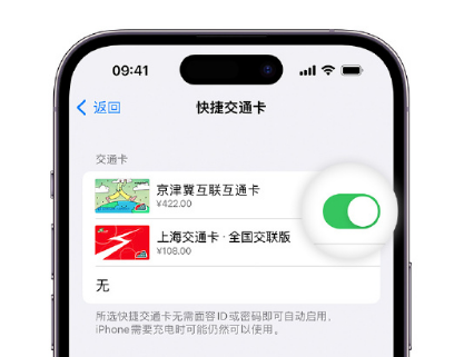 泰兴apple维修点分享iPhone上更换Apple Pay快捷交通卡手绘卡面 