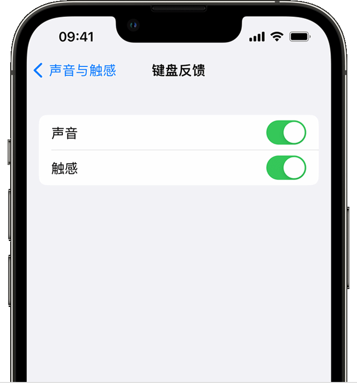 泰兴苹果14维修店分享如何在 iPhone 14 机型中使用触感键盘 