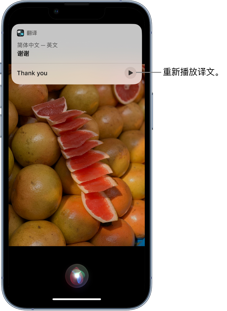 泰兴苹果14维修分享 iPhone 14 机型中使用 Siri：了解 Siri 能帮你做什么 