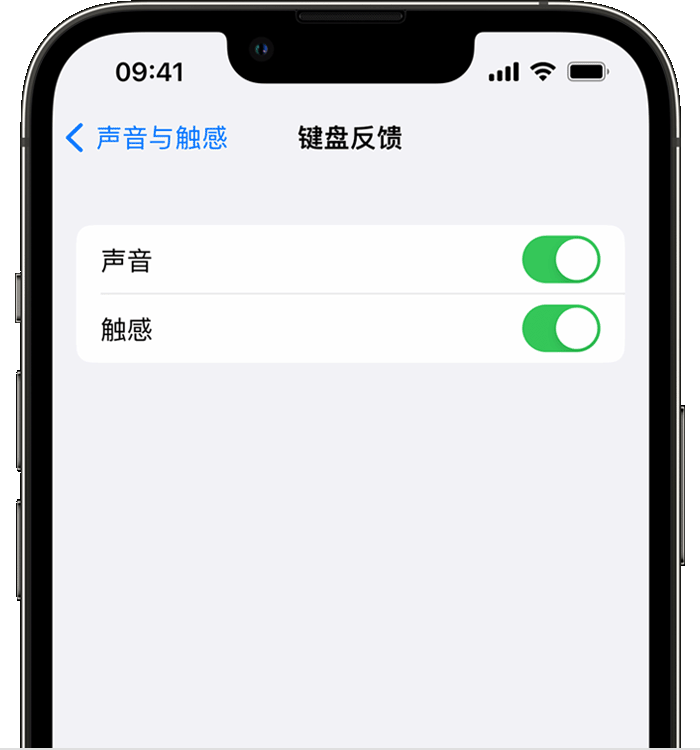 泰兴苹果14维修分享iPhone 14 系列机型如何开启键盘声音或触感反馈 