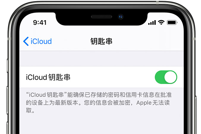 泰兴苹果手机维修分享在 iPhone 上开启 iCloud 钥匙串之后会储存哪些信息 