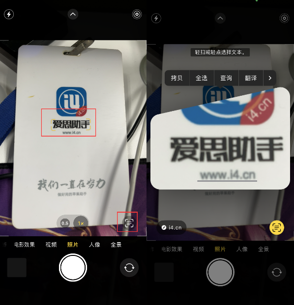 泰兴苹果手机维修分享升级iOS 16后如何通过相机翻译文本 