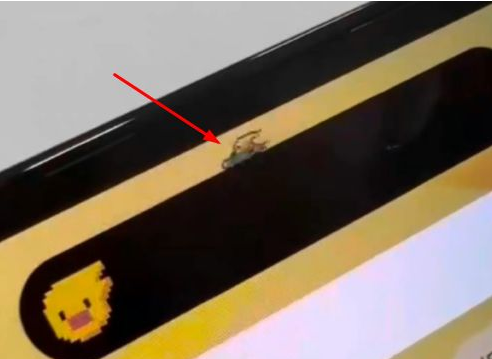 泰兴苹果14维修分享iPhone 14 Pro Max灵动岛怎么养宠物 