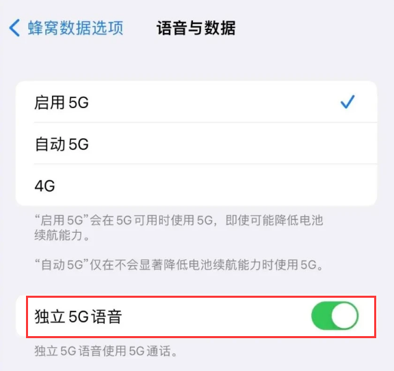 泰兴苹果14维修分享iPhone 14 Pro如何开启VoNR 