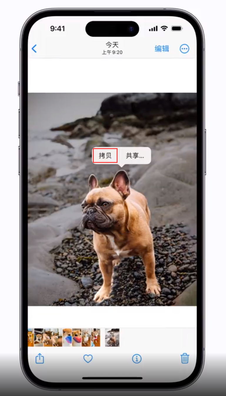 泰兴苹果手机维修分享 iOS 16 自带一键抠图功能 