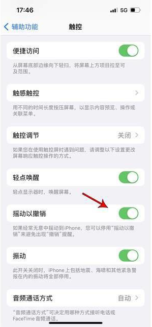 泰兴苹果手机维修分享iPhone手机如何设置摇一摇删除文字 