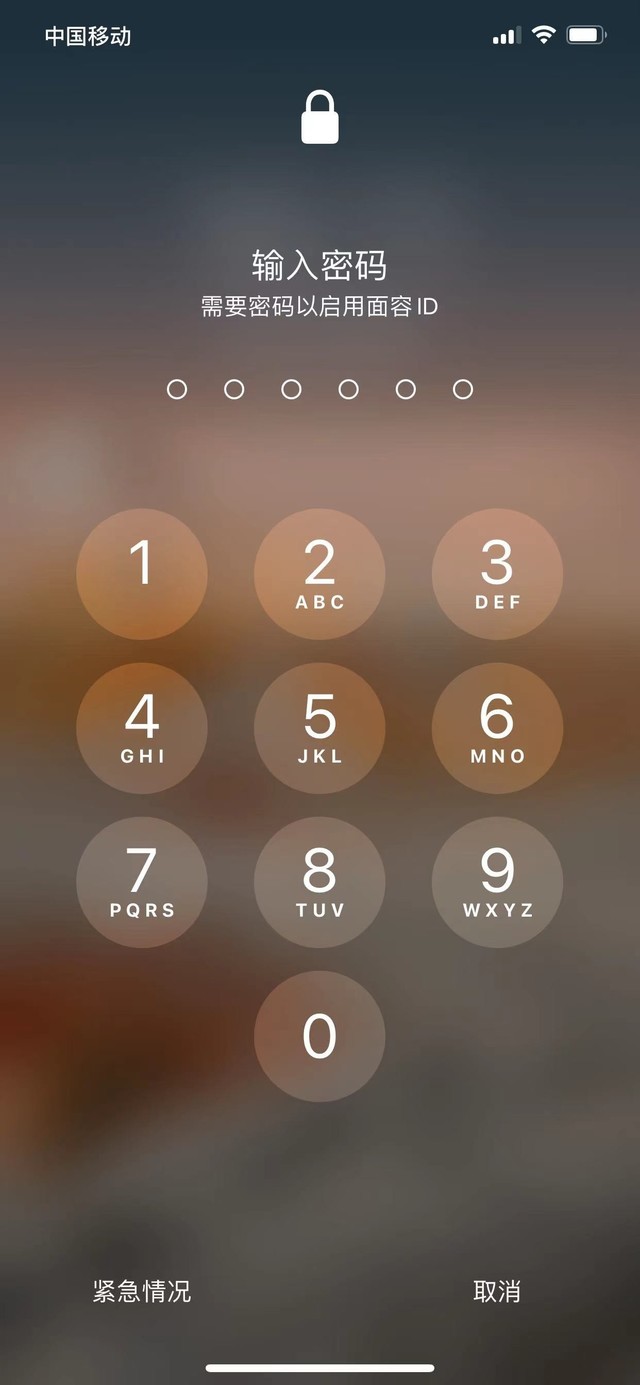 泰兴苹果13维修分享iPhone 13加强锁屏功能有什么用 