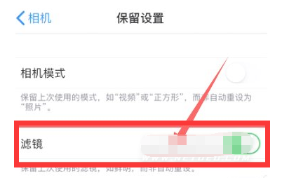 泰兴苹果13维修分享iPhone13拍照有绿点是怎么回事 