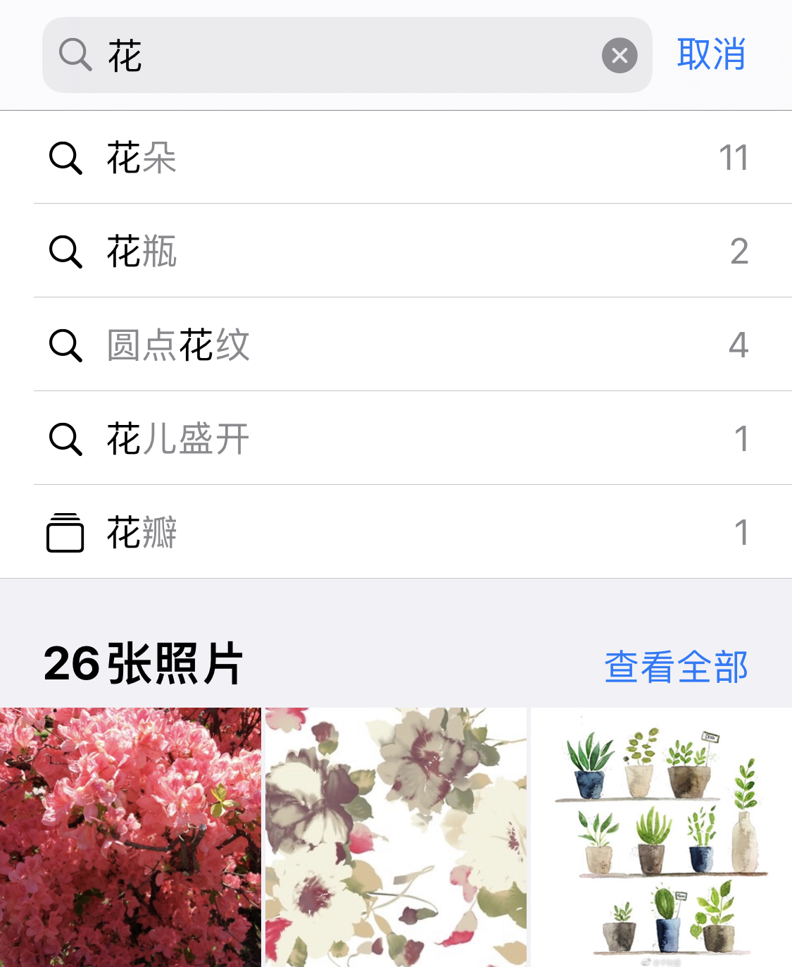 泰兴苹果手机维修分享iPhone 小技巧 