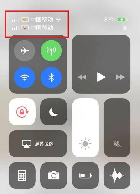 泰兴苹果手机维修分享为 iPhone 12 双卡设置标签 