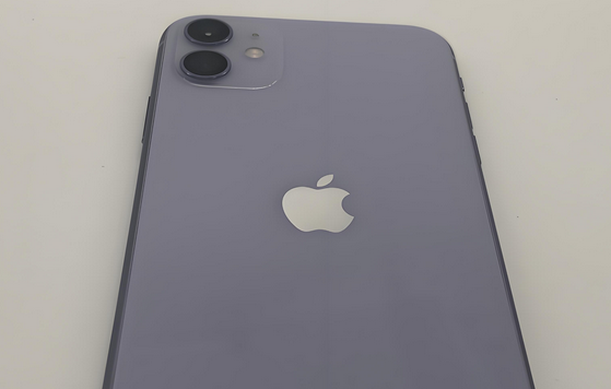 泰兴苹果11系统维修分享iPhone11手机系统崩溃无法开机如何解决